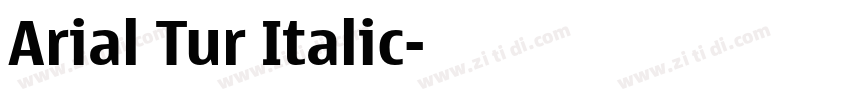 Arial Tur Italic字体转换